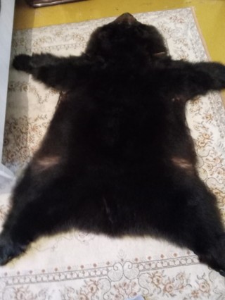 Ковер из шкуры медведя натуральный