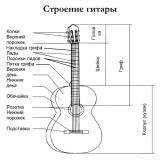 СТРОЕНИЕ ГИТАРЫ
