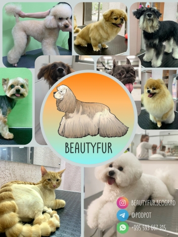 Груминг, грумер в pet-friendly подходе