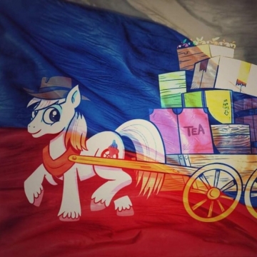 Доставка товаров из России Lesja